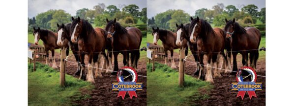 Design 10 - PhotoCeramic (Durham) Mug - Pack of 36