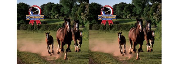 103 Design -  PhotoCeramic (Durham) Mug - Pack of 36