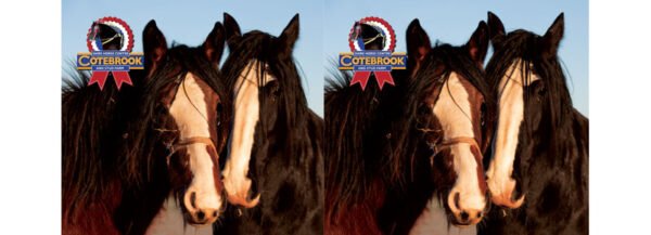 110 Design - PhotoCeramic (Durham) Mug - Pack of 36