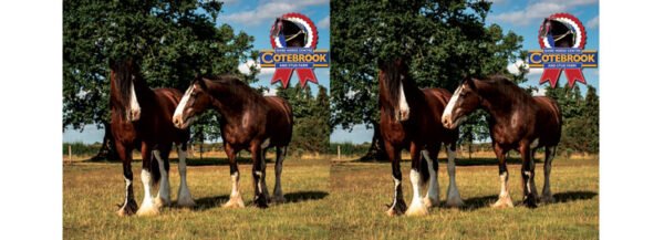 Design 22 -  PhotoCeramic (Durham) Mug - Pack of 36