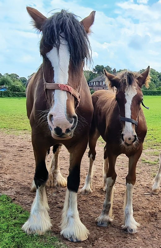 DESIGN I (Front) Logo (Rear) -  Keyring - Acrylic - 74mm x 54mm - Pack of 25