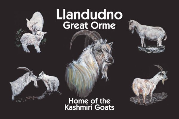 Design 1 - BIG BILLY IN CENTRE -  Glass Chopping Board - Pack of 6