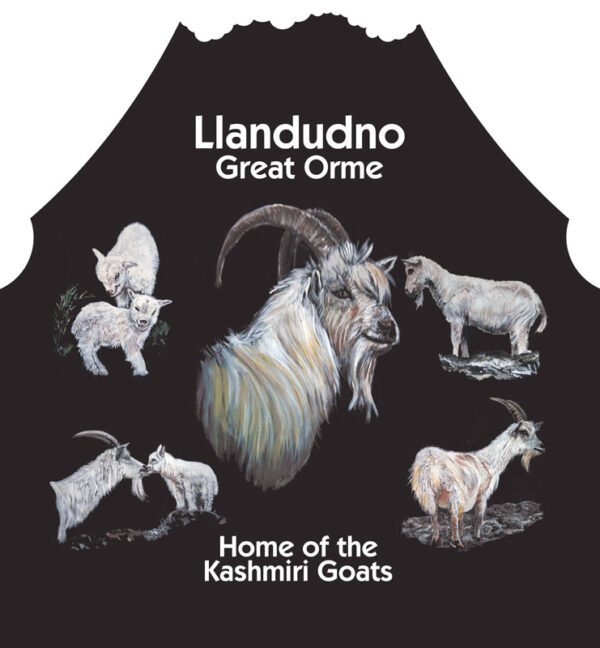 Design 1 - BIG BILLY IN CENTRE -  Apron - Pack of 6