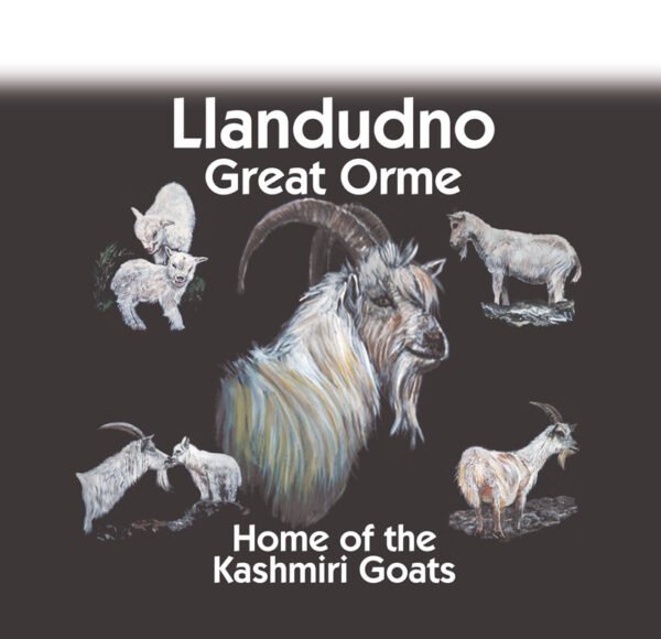 Design 1 - BIG BILLY IN CENTRE -  Tote Bag - Pack of 6