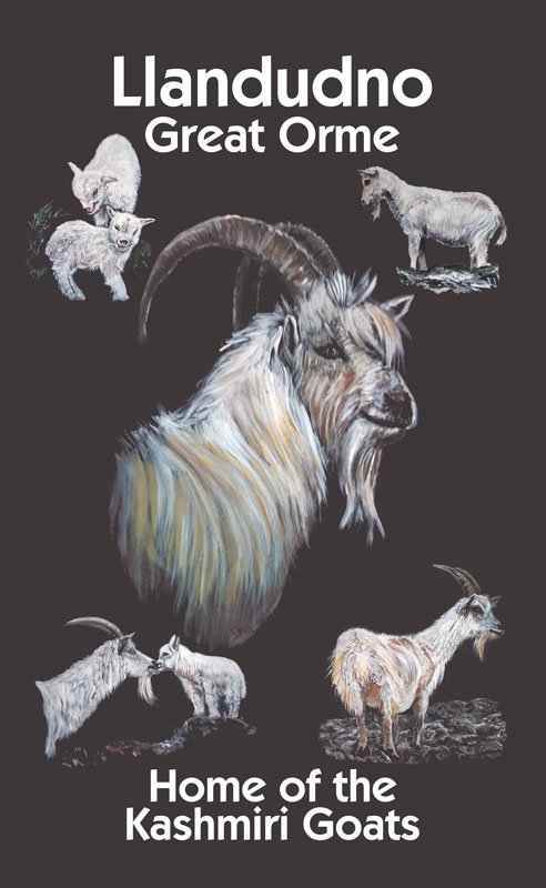 Design 1 - BIG BILLY IN CENTRE - Tea Towel - Digitally Print - Pack of 25