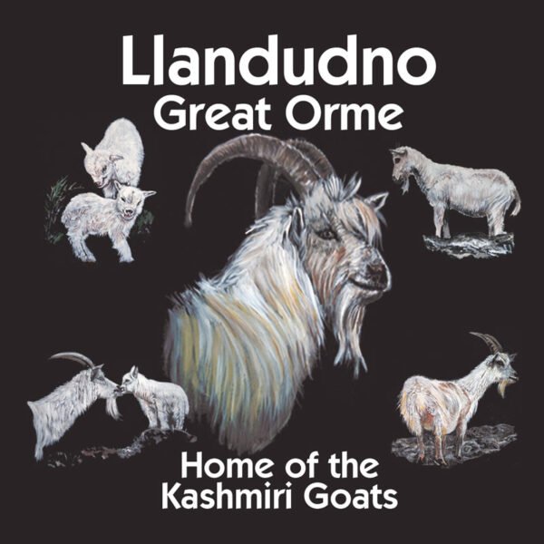 Design 1 - BIG BILLY IN CENTRE -  Matt - Ceramic Drink Coaster - Pack of 12