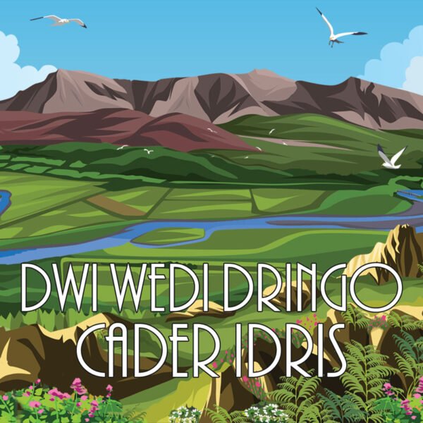 CADER IDRIS I CLIMBED - Welsh Wording - Acrylic - Fridge Magnet - 75mm x 50mm - Pack of 50