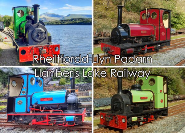 Collage -  Postcard - Pack of 48