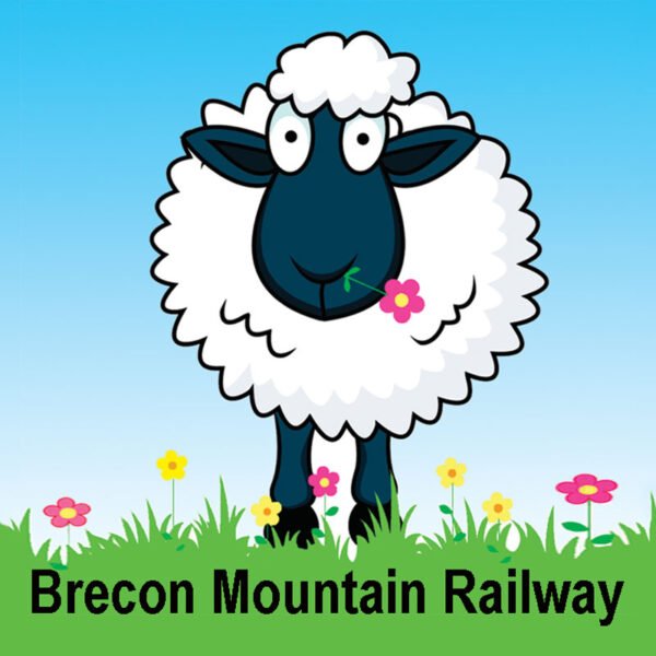 SHEEP + Place Name - Ceramic square fridge magnet - Pack of 48