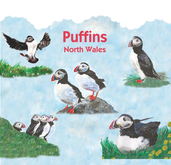 Puffins of North Wakes -  Tote Bag - Pack of 6