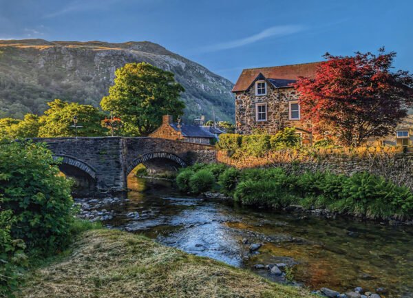 Golden Hour + BESPOKE REAR -  Postcard - Pack of 48