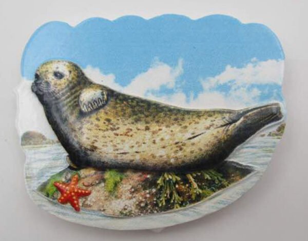 SEAL ON ROCK - Polyresin Fridge Magnet - Pack of 72