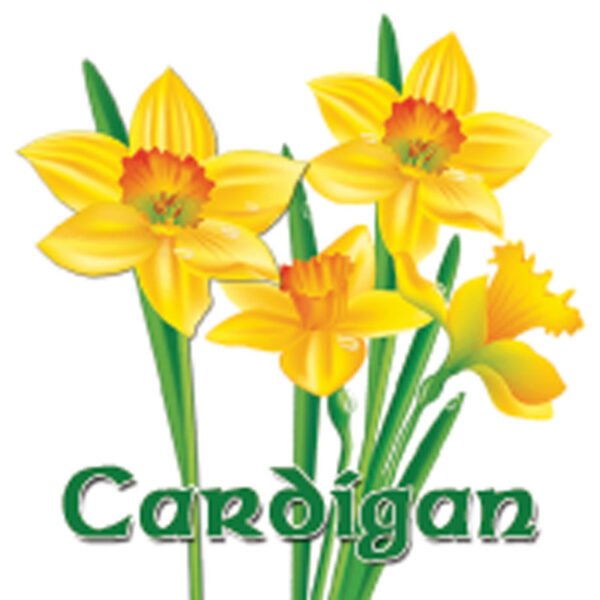 DAFFODIL -  Fridge Magnet - Ceramic Tile - Pack of 48