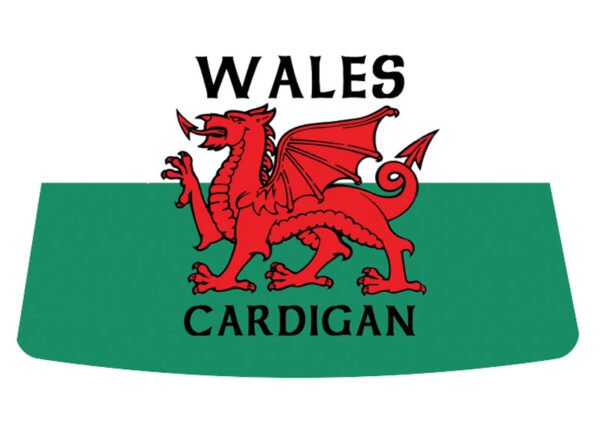 WELSH DRAGON + Wording -  Thimble - Pack of 25