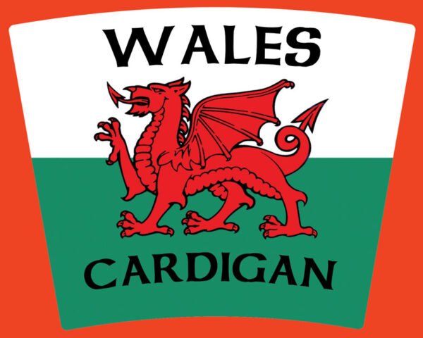 WELSH DRAGON + Wording -  Shot Glass - Pack of 36