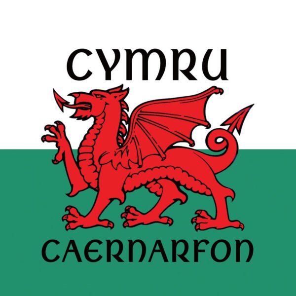 WELSH DRAGON + Wording -  Matt - Rectangular Ceramic Magnet - Pack of 48