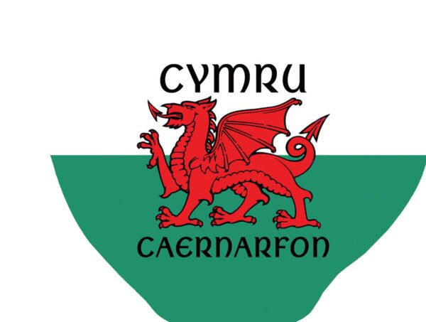 WELSH DRAGON + Wording - Teabag Tidy - Pack of 12