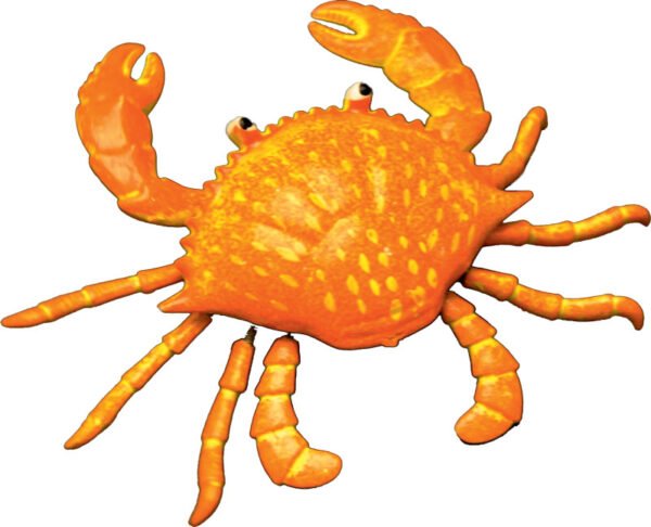 CRAB -  WOBBLE Magnet - Pack of 60